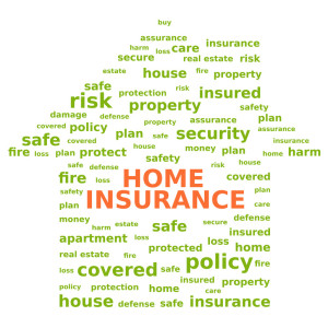 home insurance decisions