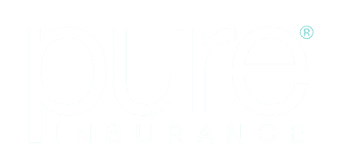 pure high value insurance company