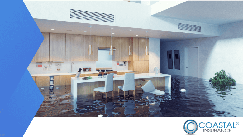nfip flood insurance risk