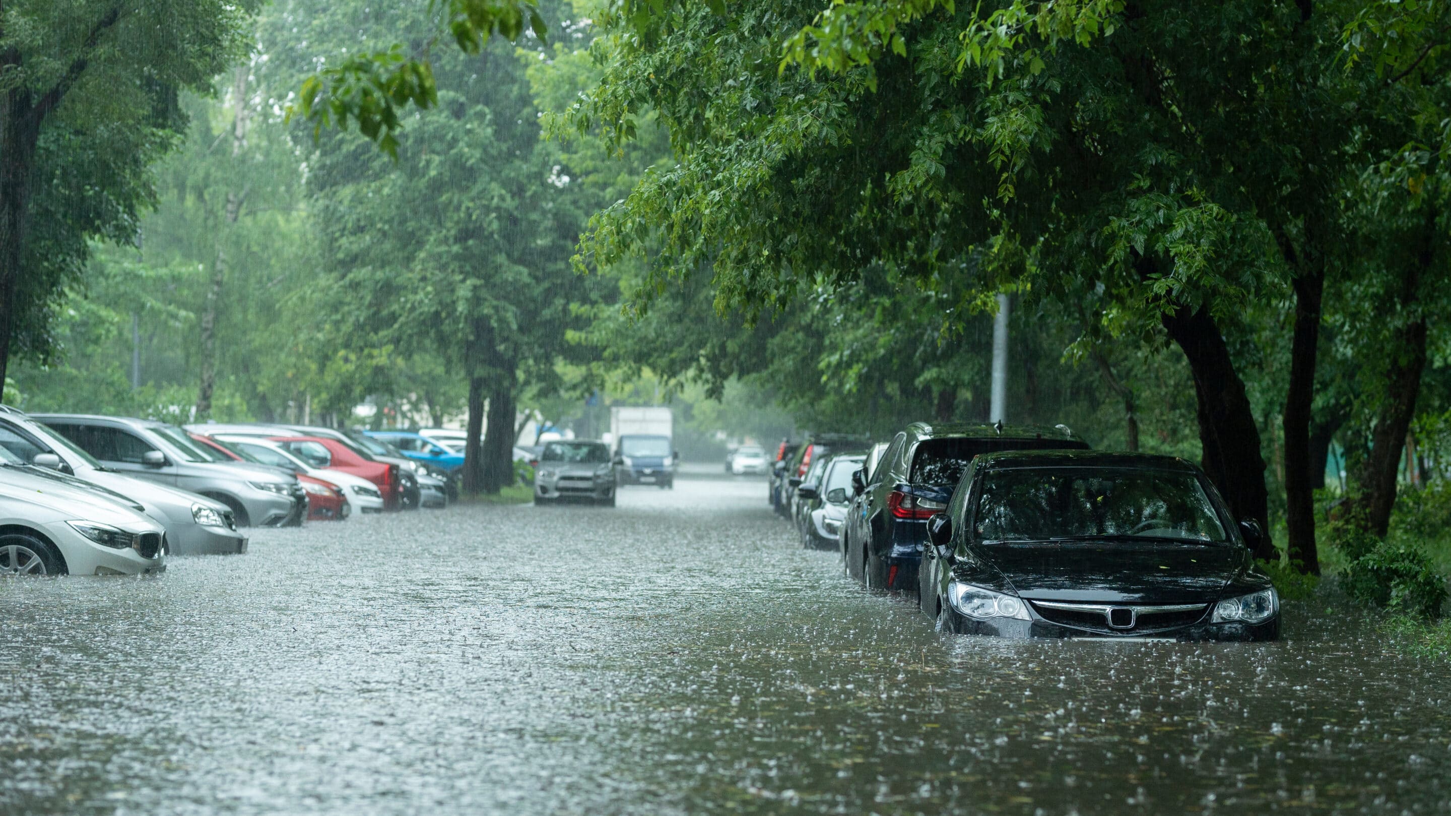 Flooded street with partially submerged parked cars, highlighting the importance of updated flood insurance changes in 2024.