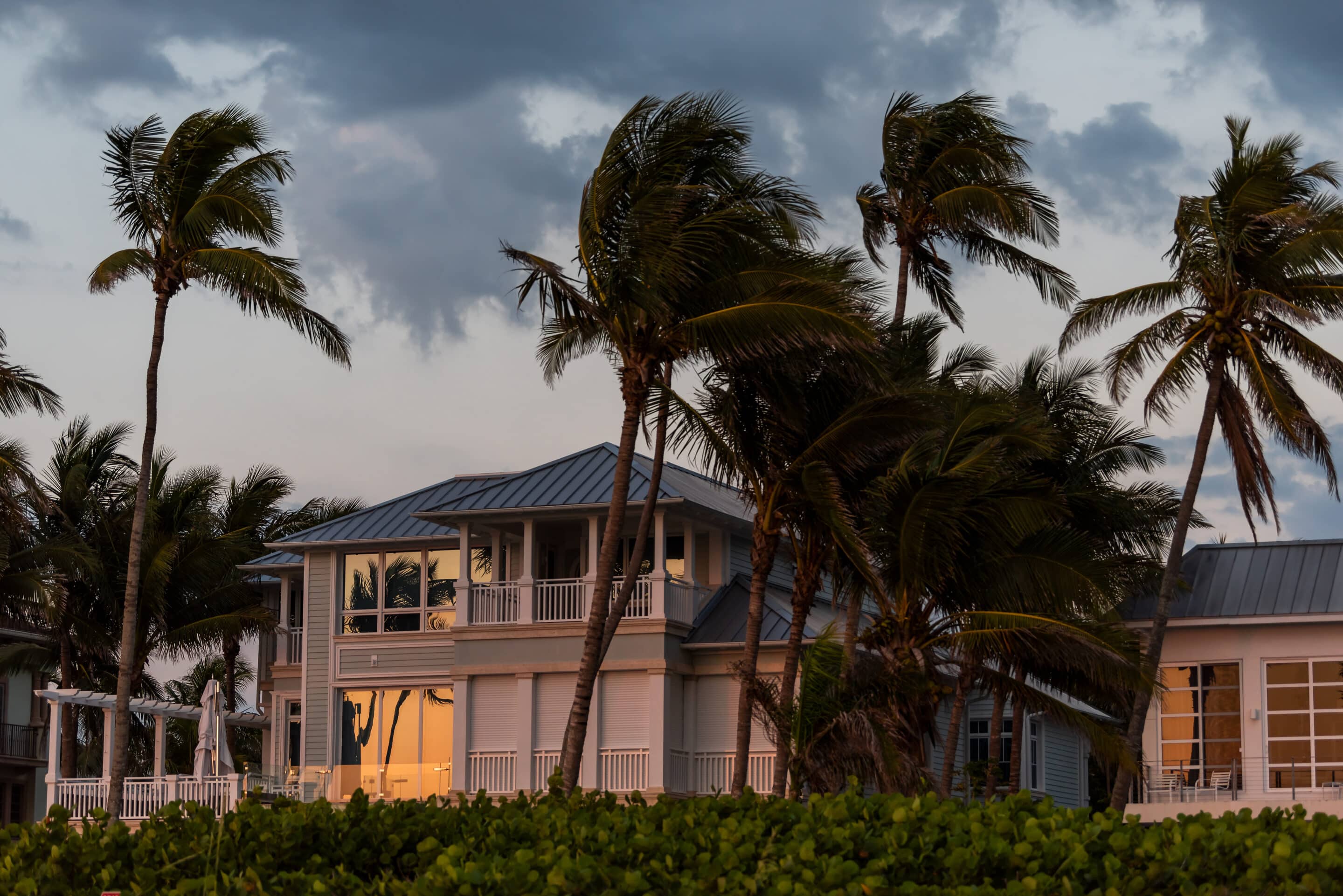 Luxury coastal home with palm trees in a hurricane-prone area needing oceanfront property insurance.